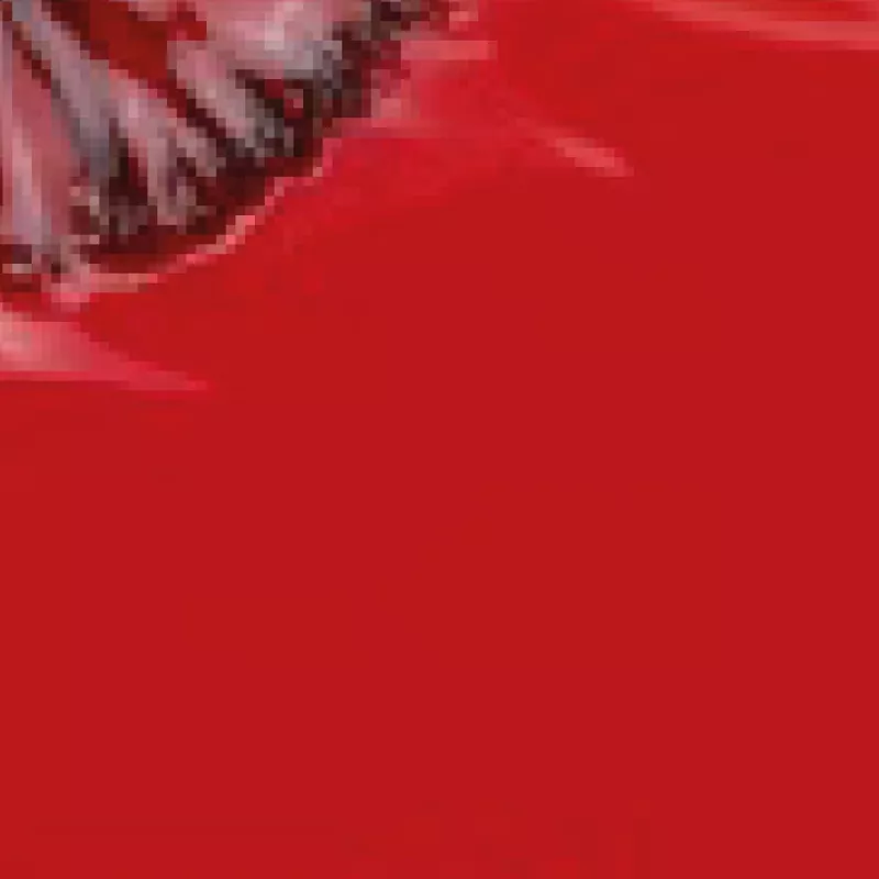 Vernis Semi-permanent - Inocos - Collection Noël 2025 - GP498